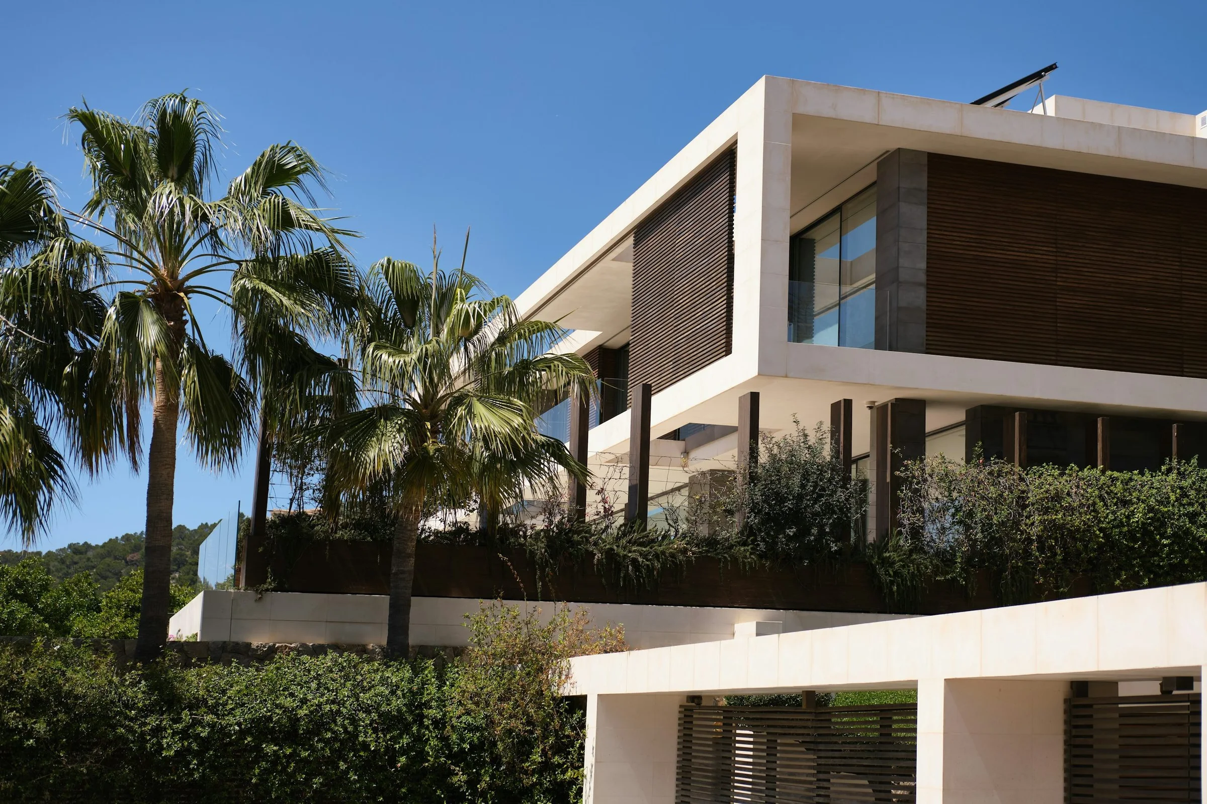 A modern villa among palm trees
